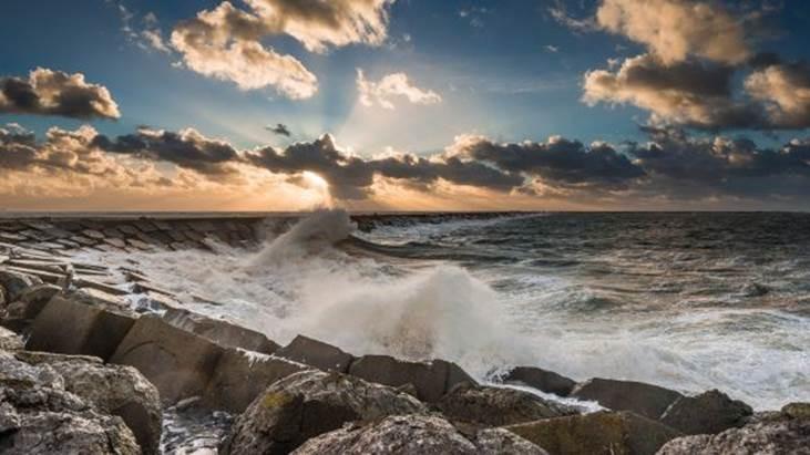 Wild aantrekkelijk IJmuiden aan Zee